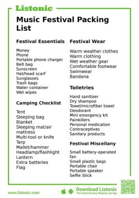 What to Bring to Music Festival: A Compendium of Essentials and More